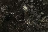 Septarian Dragon Egg Geode - Black Crystals #137955-2
